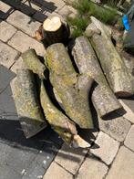 Haardhout stronken, Tuin en Terras, Haardhout, Minder dan 3 m³, Ophalen, Beukenhout, Stammen
