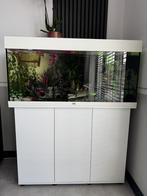 Juwel Rio 180 led plus originele onderkast, Dieren en Toebehoren, Vissen | Aquaria en Toebehoren, Ophalen, Nieuw, Gevuld zoetwateraquarium