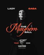 Lady gaga tickets Amsterdam (staanplaatsen/Golden Circle), Tickets en Kaartjes, Twee personen, November