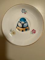 Vintage porseleinen botanisch klein bordje pimpelmees, Antiek en Kunst, Ophalen of Verzenden