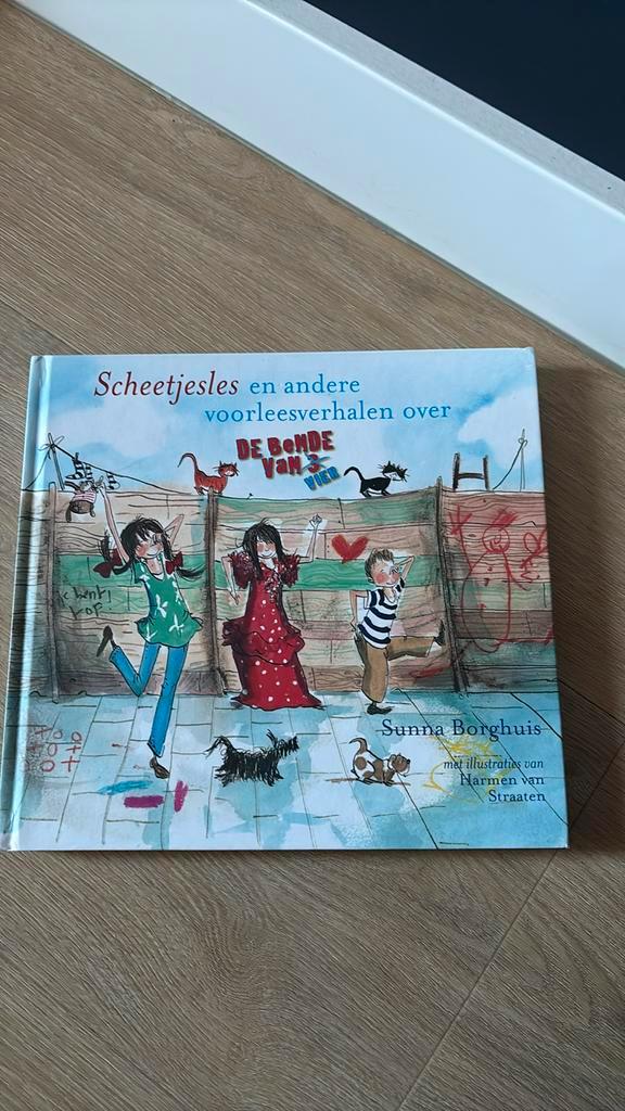 Sunna Borghuis - Scheetjesles, Boeken, Kinderboeken | Jeugd | onder 10 jaar, Zo goed als nieuw, Ophalen of Verzenden