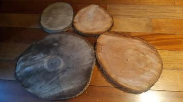Decoratieve verse boomstamplakken/boomstam schijven 50/25cm beschikbaar voor biedingen