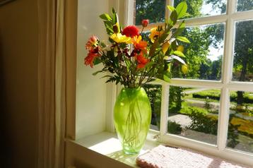 Groene vaas uit dik glas beschikbaar voor biedingen