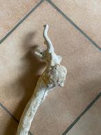 Drijfhout lijkt de kop te zijn van een dier met hoorns 76 cm, Verzenden, Nieuw