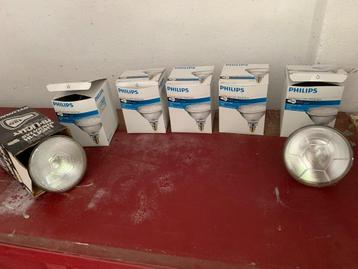 6 Philips lampen voor tuin bijv. in een spot beschikbaar voor biedingen