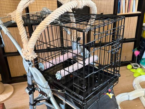 Papegaaien/vogelbuggy, Dieren en Toebehoren, Vogels | Hokken en Kooien, Gebruikt, Overige typen, Metaal, Ophalen