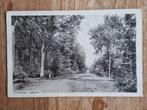 ansichtkaart Breda Prinsenhage Liesbosch uitg Broese, Verzamelen, Ansichtkaarten | Nederland, Ophalen of Verzenden, 1920 tot 1940