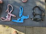 Miniture halsters, Dieren en Toebehoren, Paarden en Pony's | Overige Paardenspullen, Ophalen, Gebruikt, Overige soorten