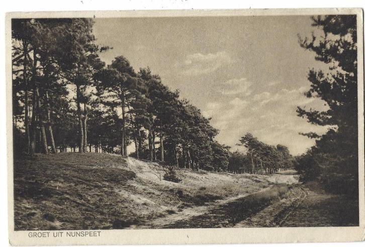 Nunspeet, Groet uit Nunspeet, Verzamelen, Ansichtkaarten | Nederland, Gelopen, Gelderland, 1920 tot 1940, Verzenden