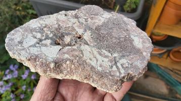 Rij121 Agaat geode verzameling collectie mineralen beschikbaar voor biedingen
