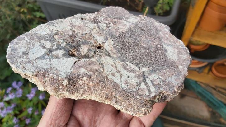 Rij121 Agaat geode verzameling collectie mineralen, Verzamelen, Mineralen en Fossielen, Mineraal, Ophalen of Verzenden