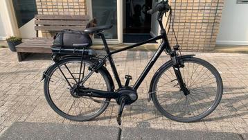 Pegasus Ravenna Nu-E beschikbaar voor biedingen