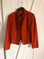 Suede jasje van Pauw Amsterdam 36, Kleding | Dames, Ophalen of Verzenden, Zo goed als nieuw, Maat 36 (S), Oranje
