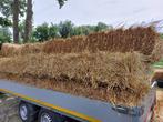 Tarwestro en Hooi, Dieren en Toebehoren, Stalling en Weidegang, Weidegang