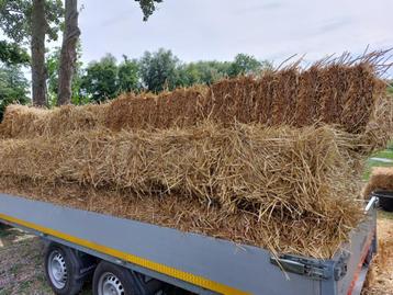 Tarwestro en Hooi beschikbaar voor biedingen