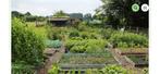 Moestuin, Ophalen, Gebruikt