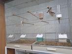 TE KOOP GEVRAAGD GEHU VLUCHTKOOI NOTK  ZIE FOTO'S, Dieren en Toebehoren, Ophalen, Vogelkooi