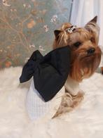 Een unieke, modieuze trui voor honden. Een trui met een enor, Ophalen of Verzenden, Nieuw
