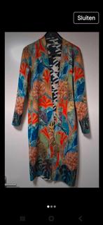 Prachtig pak van Lizzy en Coco L, Kleding | Dames, Ophalen of Verzenden, Zo goed als nieuw