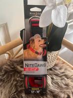 Nite Ize honden LED Halsband, Dieren en Toebehoren, Nieuw, Verlicht, Ophalen of Verzenden