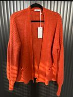 Sportief warm vest Azzurro one size - nieuw-, Azzurro, Verzenden, Maat 42/44 (L), Nieuw