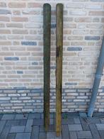 Weidepalen te koop, Ophalen of Verzenden, Eenjarig, Overige soorten, Volle zon