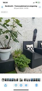 Wicker loungeset 3dlg, 2 zitplaatsen, Ophalen of Verzenden, Zo goed als nieuw, Wicker