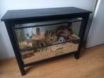 Glazen terrarium hamster incl kast & hamsterscaping, Zo goed als nieuw, 75 tot 110 cm, Ophalen, Minder dan 60 cm