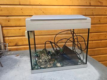 Aquarium  beschikbaar voor biedingen