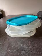 Tupperware vleeswaren schaaltjes, Ophalen of Verzenden, Zo goed als nieuw, Schaal