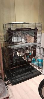 2 x bench  voor papagaai of hond ,kat, Dieren en Toebehoren, Hondenhokken, Ophalen of Verzenden, Zo goed als nieuw, Minder dan 65 cm