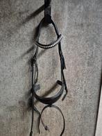 Kingsley hoofdstel zwart maat Cob, Ophalen of Verzenden, Zo goed als nieuw, Dressuur
