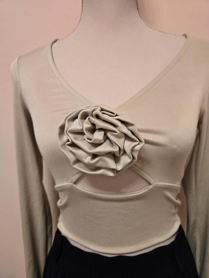 Damestopje | met roos, Kleding | Dames, Tops, Ophalen of Verzenden