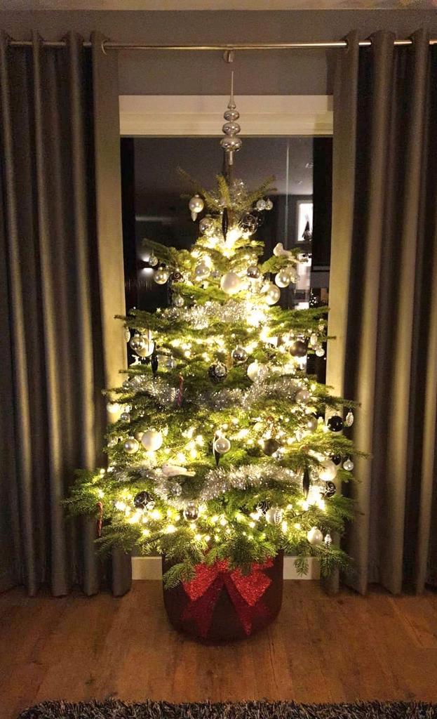 Grote roest bruine plantenbak / bloempot / kerstboompot, Tuin en Terras, Bloempotten, Zo goed als nieuw, Binnen, Tuin, 40 tot 70 cm