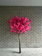 Bloesemboom, Ophalen, Nieuw, Binnen