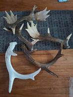 Mooie geweitjes, Ophalen, Zo goed als nieuw