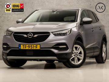 Opel Grandland X 1.2 Turbo Sport (APPLE CARPLAY, GROOT NAVI, beschikbaar voor biedingen
