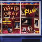 DAVID GRAY CD FLESH geseald nieuw, Ophalen of Verzenden, 1980 tot 2000, Gebruikt