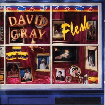 DAVID GRAY CD FLESH geseald nieuw beschikbaar voor biedingen