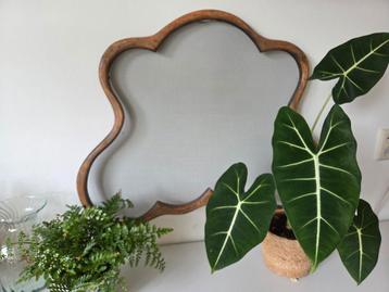 Groot oud hor beschikbaar voor biedingen