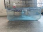 Gloed nieuw hamsterhok, Minder dan 75 cm, Zo goed als nieuw, Ophalen, Minder dan 60 cm