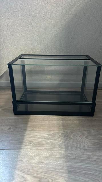 Leuk klein terrarium beschikbaar voor biedingen