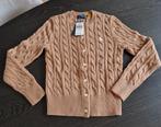 Prachtig Ralph Lauren vest, licht bruin, maat S, NIEUW!, Kleding | Dames, Ophalen of Verzenden, Nieuw, Maat 38/40 (M), Bruin