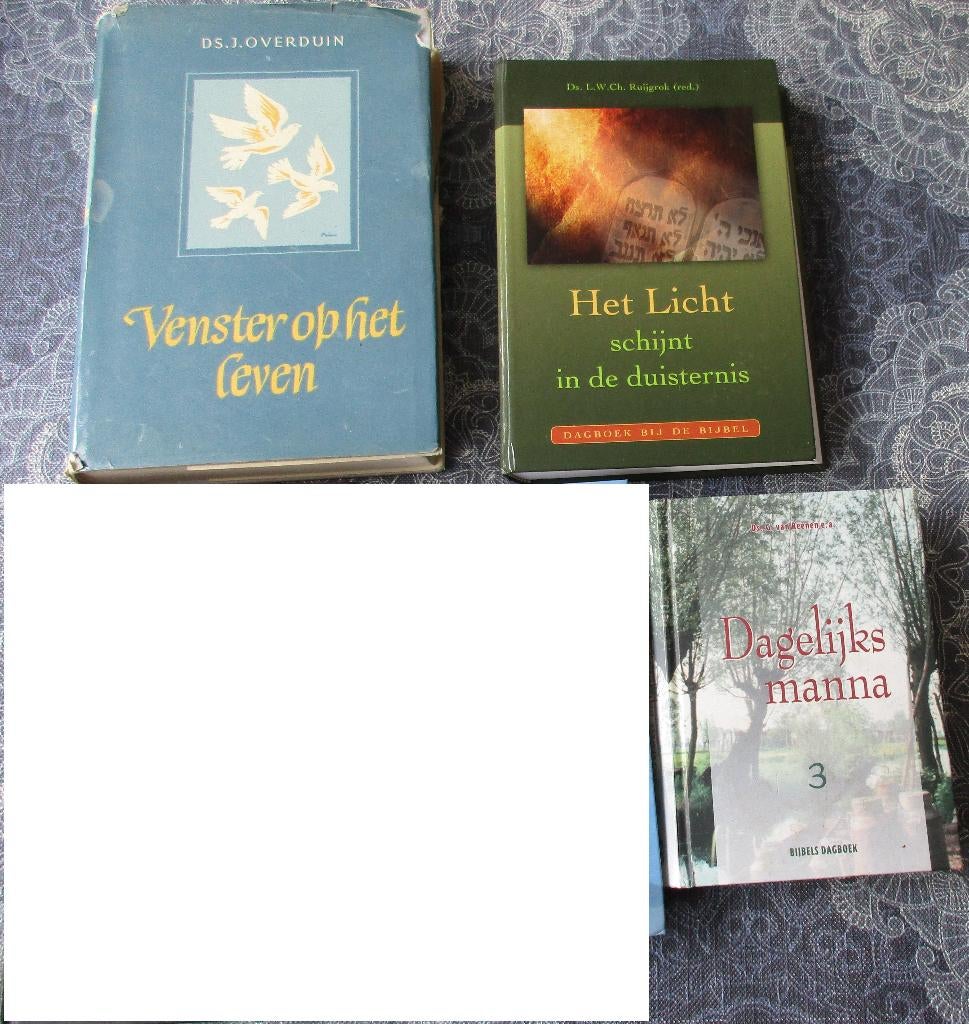 Bijbels Dagboeken - diverse auteurs - à 1.00, Ophalen of Verzenden, Gelezen