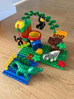 Duplo (meerdere sets), Kinderen en Baby's, Speelgoed | Duplo en Lego, Ophalen of Verzenden, Gebruikt, Complete set, Duplo
