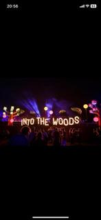 Into the woods ticket vrijdag 4x, Tickets en Kaartjes, Evenementen en Festivals