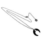 RVS Ketting met Zwarte Onyx Halve Maan Hanger, Birgitta-Gracht 33, 6465 EL Kerkrade, Nederland, Verzenden, Nieuw, Esde2