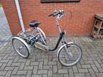 Van Raam Maxi Driewieler, Fietsen en Brommers, Fietsen | Driewielfietsen, Ophalen, Gebruikt
