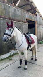 Kentucky Velvet Dark Red set, Dieren en Toebehoren, Paarden en Pony's | Dekens en Dekjes, Ophalen of Verzenden, Zo goed als nieuw