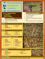 Insecten (pinkies, meelwormen enz.), Dieren en Toebehoren, Vogels | Overige Vogels, Geslacht onbekend